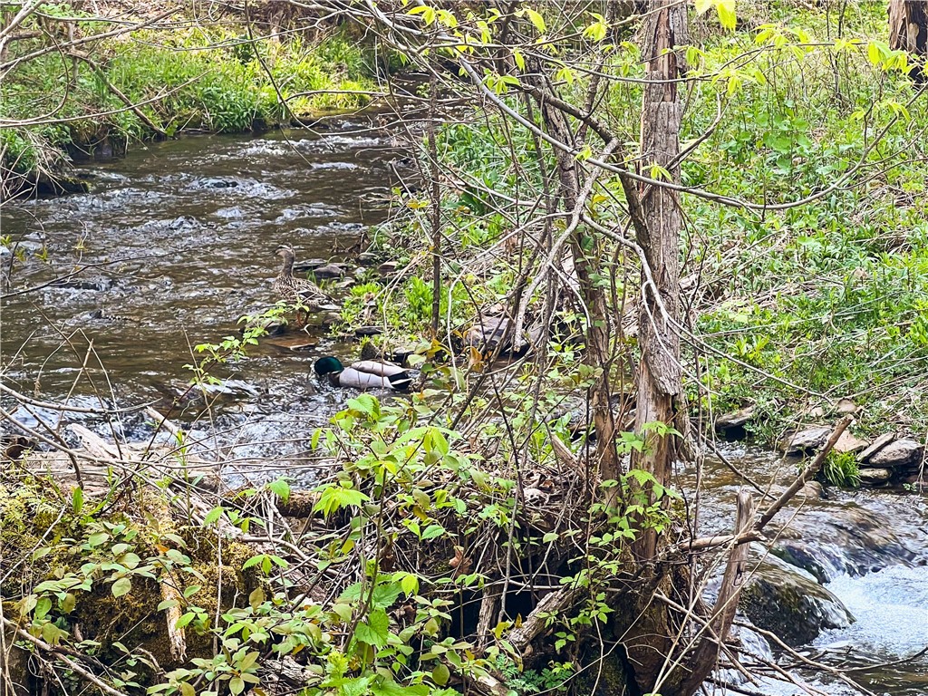 1275 Canada Hollow Road Andes, NY 13731 - Photo 18 of 18