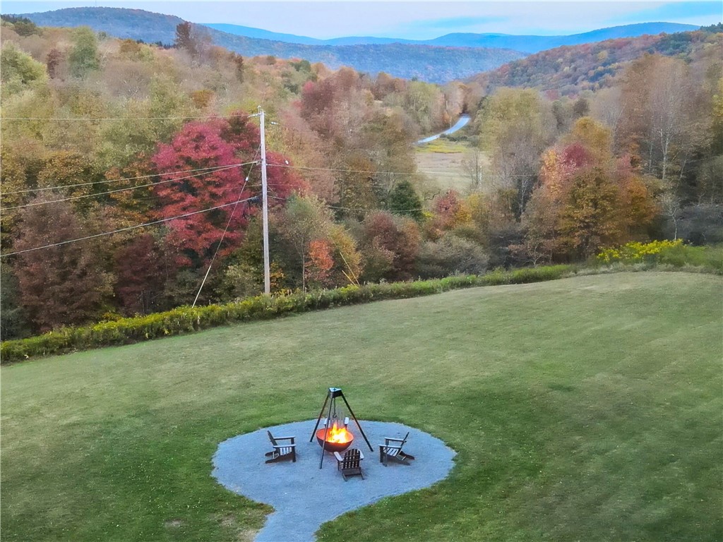 1275 Canada Hollow Road Andes, NY 13731 - Photo 2 of 18