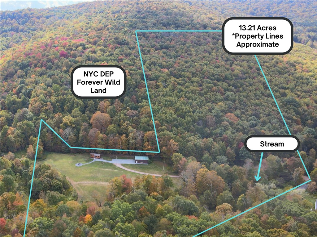 1275 Canada Hollow Road Andes, NY 13731 - Photo 3 of 18