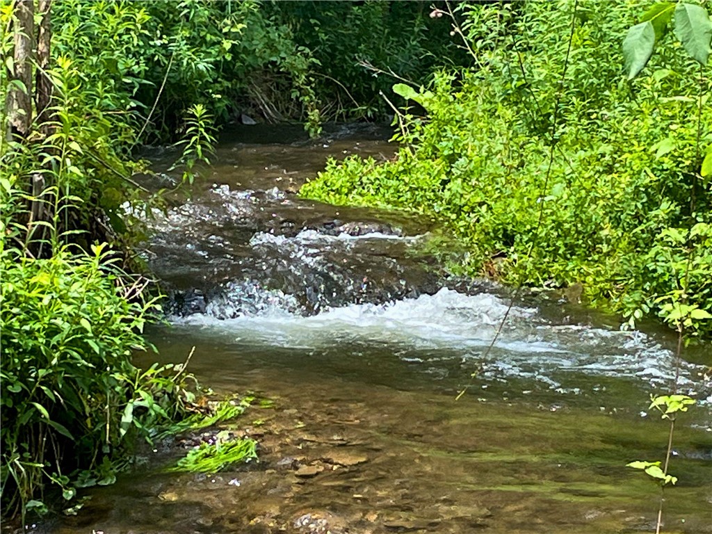 1275 Canada Hollow Road Andes, NY 13731 - Photo 5 of 18