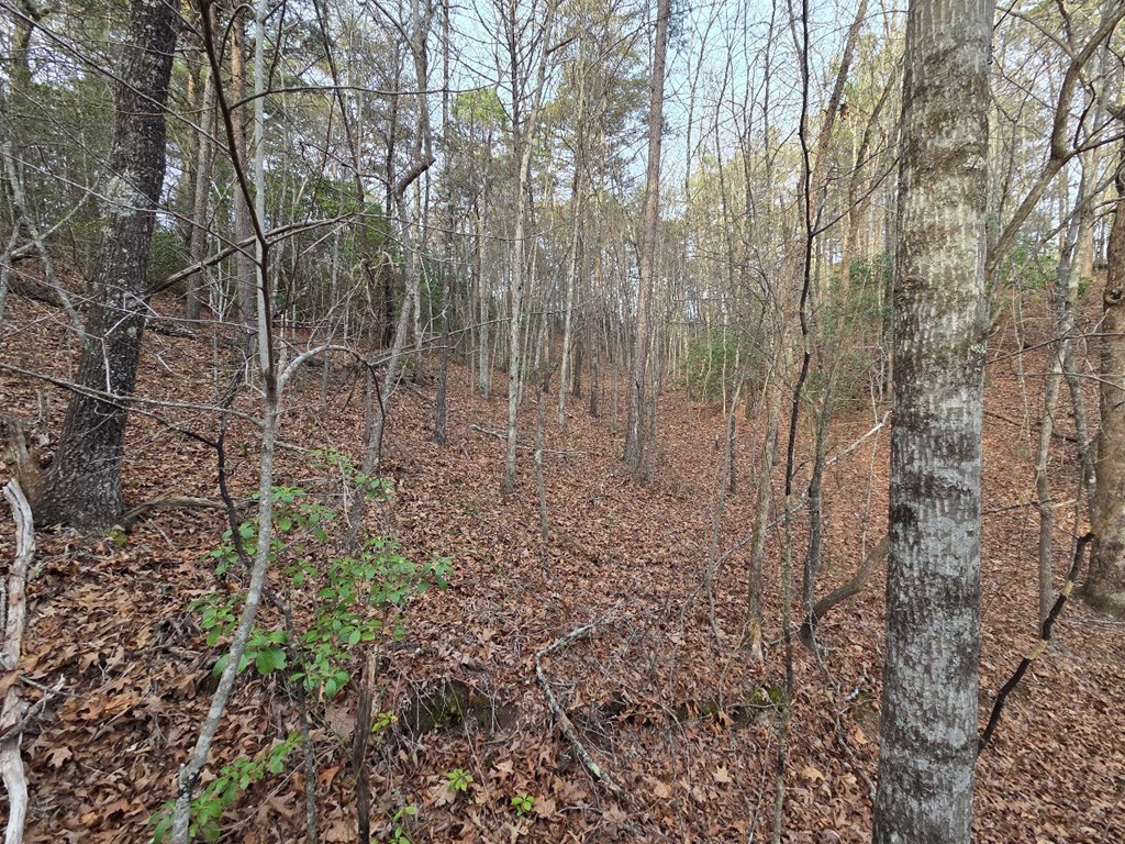 Lot 53 Calvender Road Turtletown, TN 37391 - Photo 11 of 14