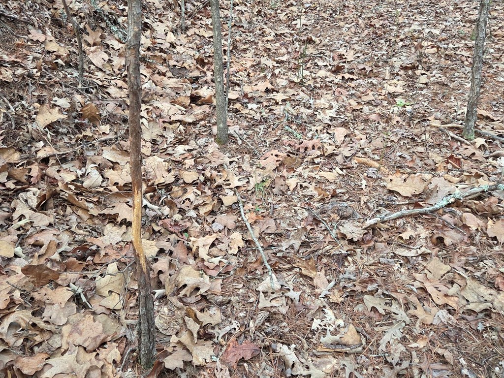 Lot 53 Calvender Road Turtletown, TN 37391 - Photo 12 of 14