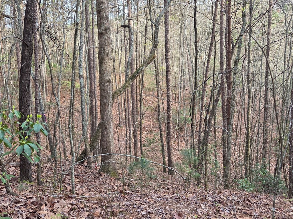 Lot 53 Calvender Road Turtletown, TN 37391 - Photo 13 of 14