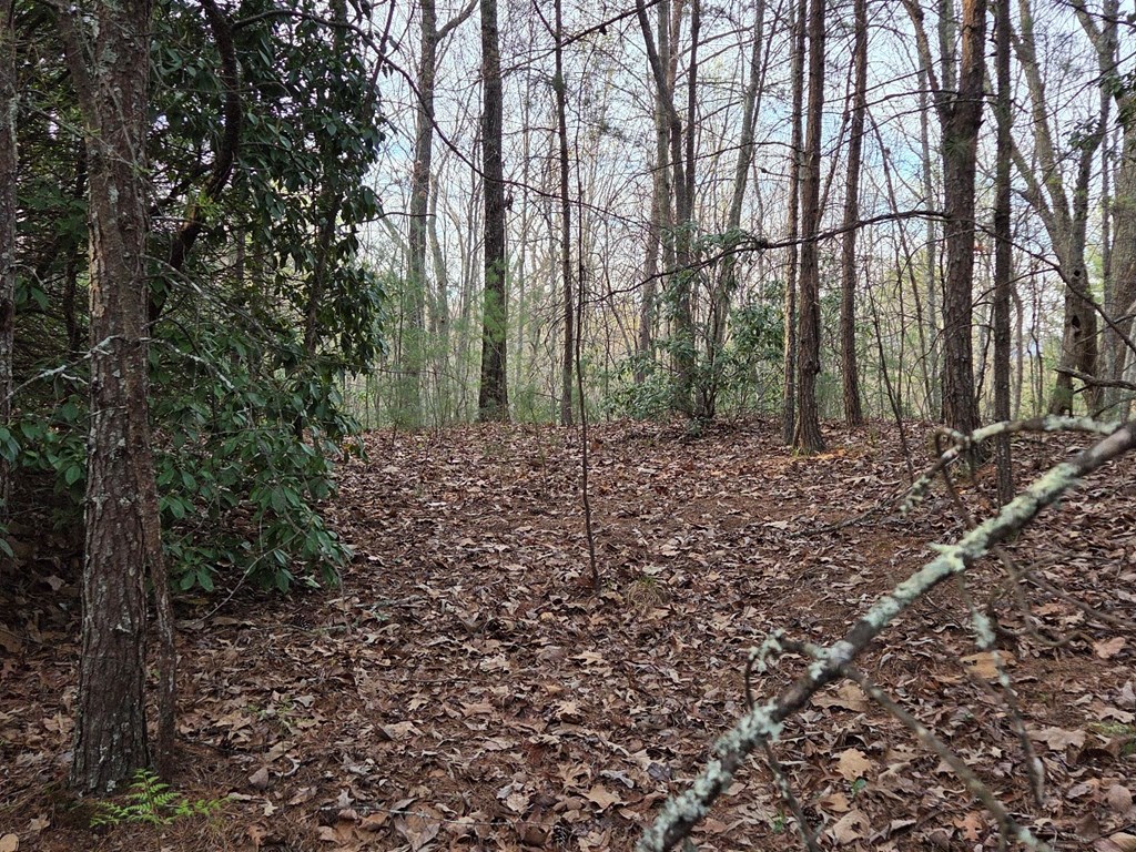 Lot 53 Calvender Road Turtletown, TN 37391 - Photo 14 of 14