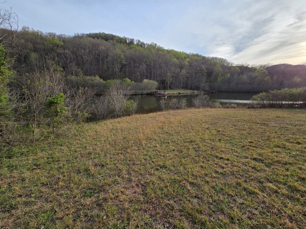 Lot 53 Calvender Road Turtletown, TN 37391 - Photo 5 of 14