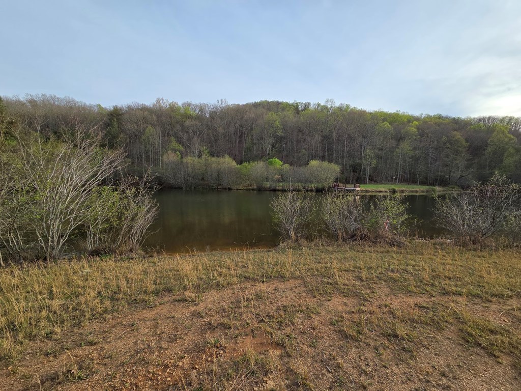 Lot 53 Calvender Road Turtletown, TN 37391 - Photo 7 of 14