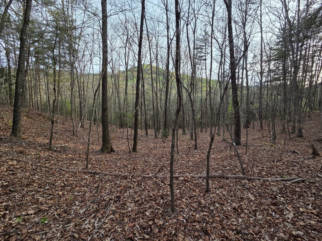 Lot 53 Calvender Road Turtletown, TN 37391 - Photo 8 of 14