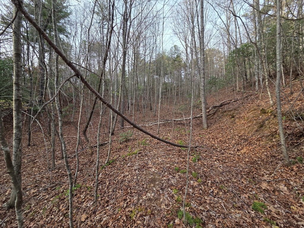 Lot 53 Calvender Road Turtletown, TN 37391 - Photo 9 of 14