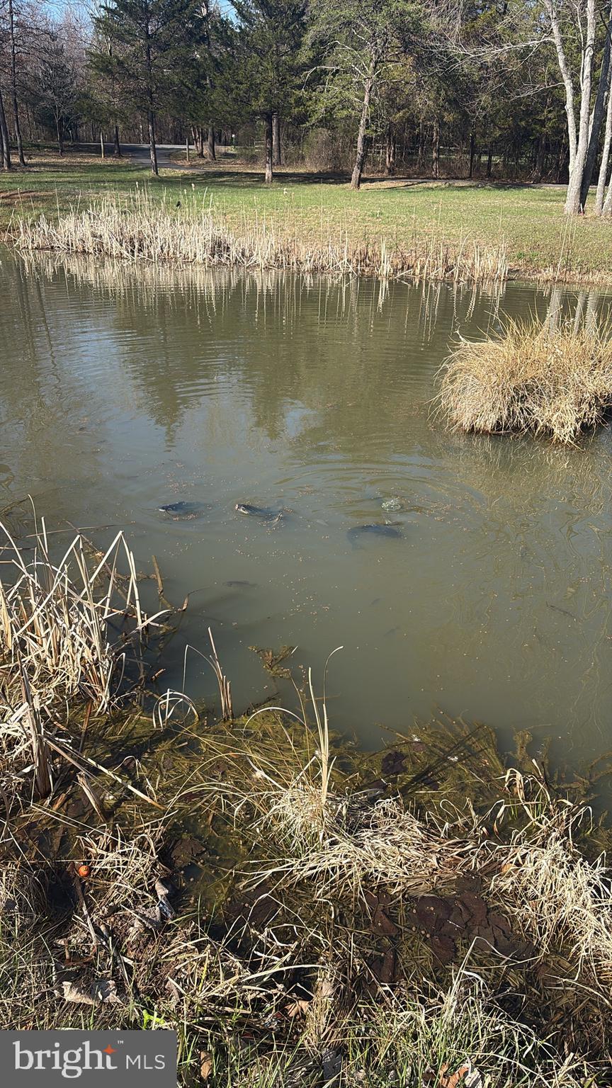 10409 Lees Mill Road Warrenton, VA 20186 - Photo 8 of 57 STOCKED POND