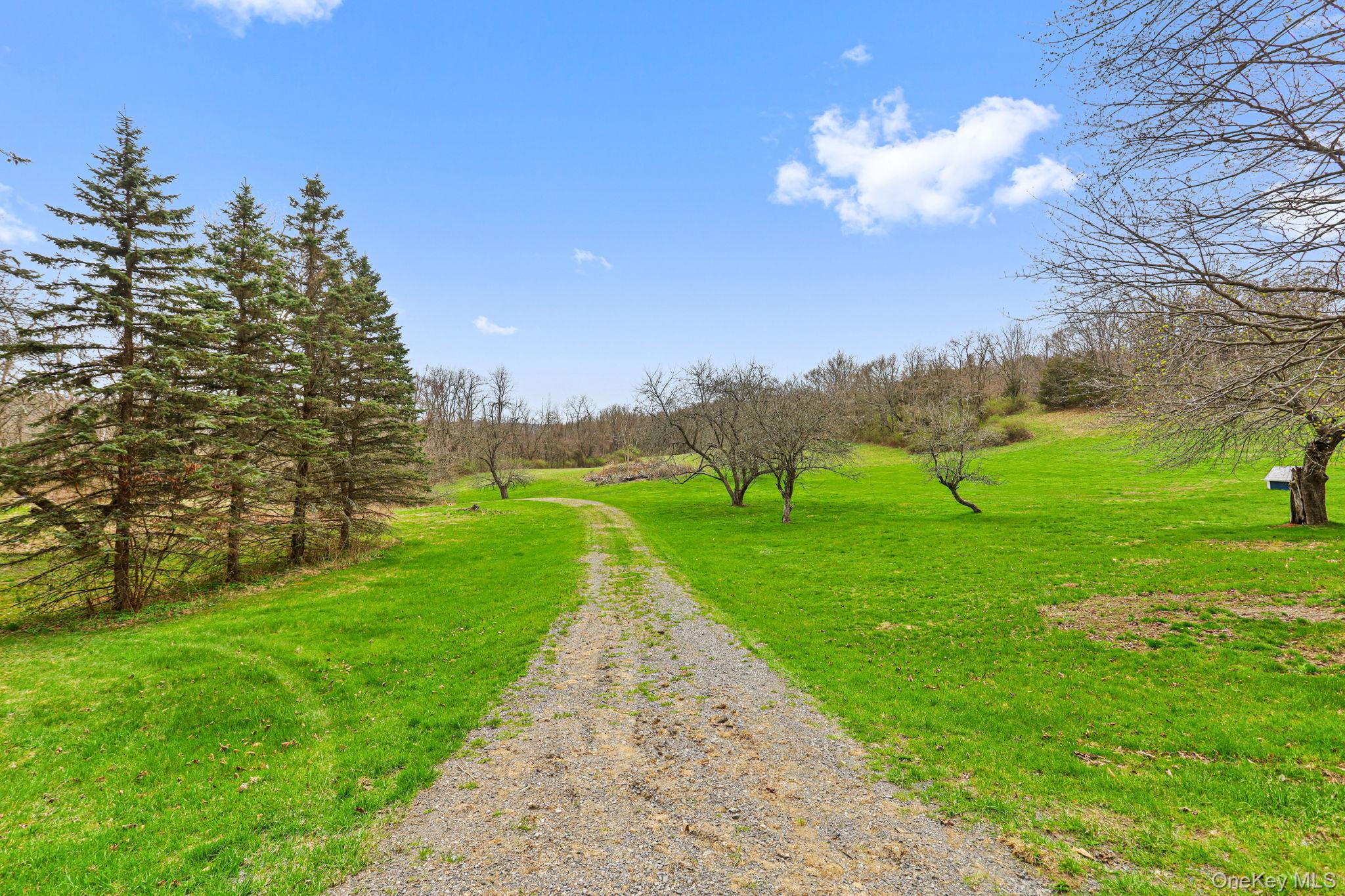 770 Gahbauer Road Hudson, NY 12534 - Photo 26 of 39 a view of a park