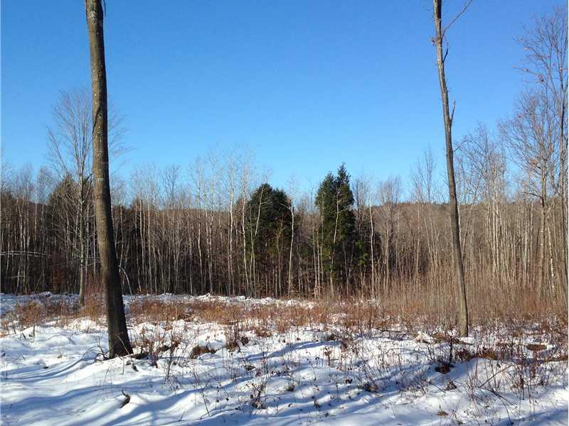 Lot 4 Rover Road Dixfield, ME 04224 - Photo 28 of 34 Land/Lot.