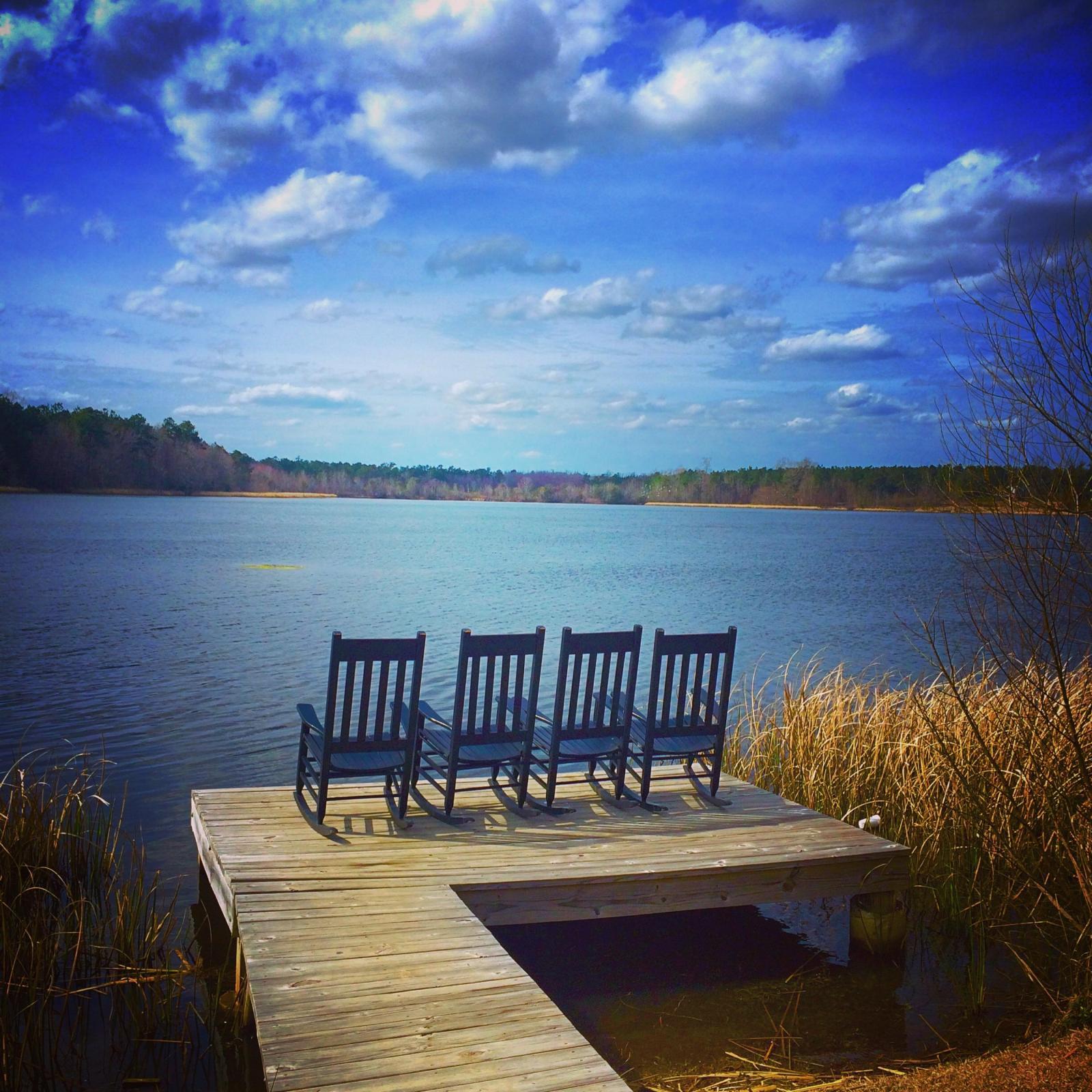 611 Black Pine Road Moncks Corner, SC 29461 - Photo 30 of 39 20150719204443984729000000-o