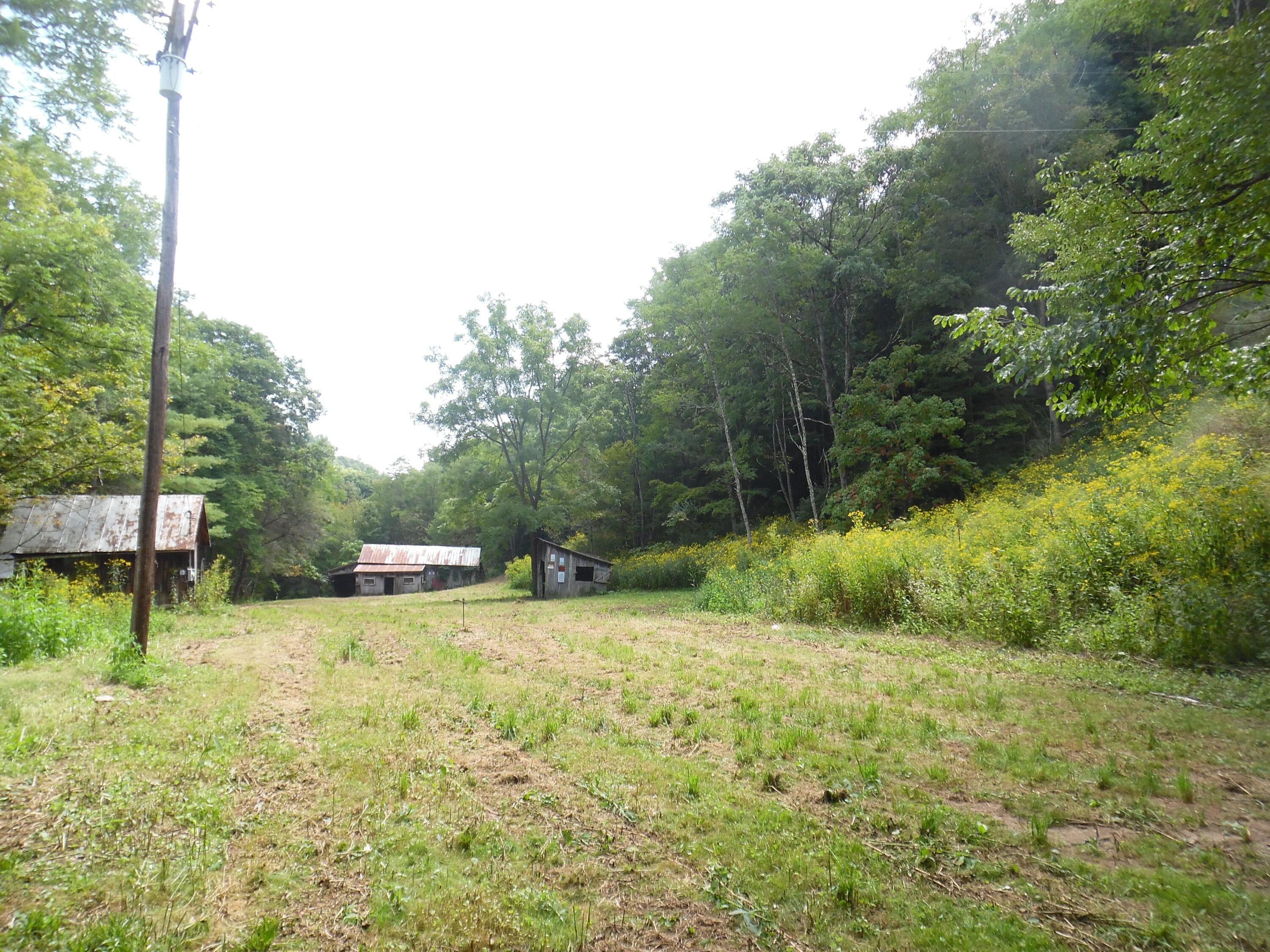 6234 Edray Road Cass, WV 24927 - Photo 19 of 66 Gallery Image 19