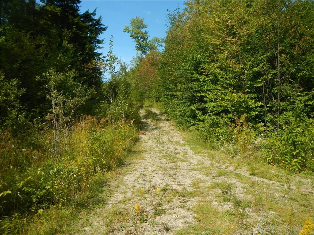 Tbd Tbd Eskutassis & Spruce Point Road Lowell, ME 04493 - Photo 22 of 23 Photo