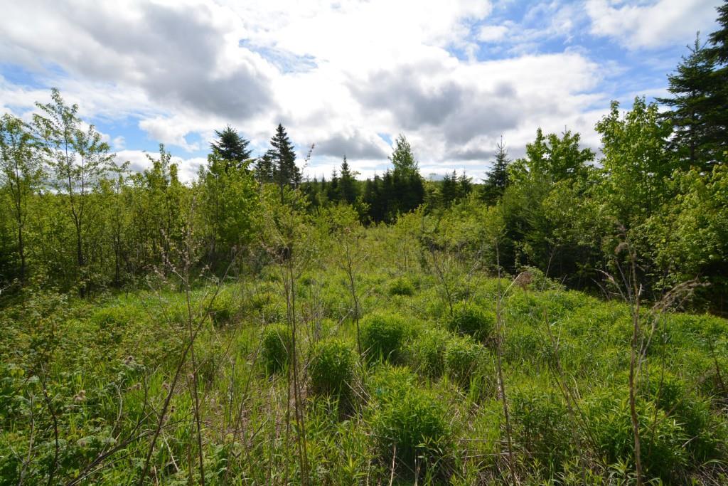 275 Back Ridge Road Littleton, ME 04730 - Photo 4 of 23 Photo