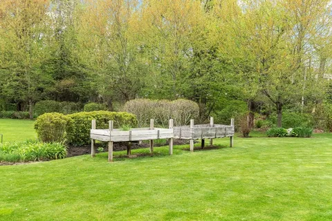 a view of a garden with plants and large trees