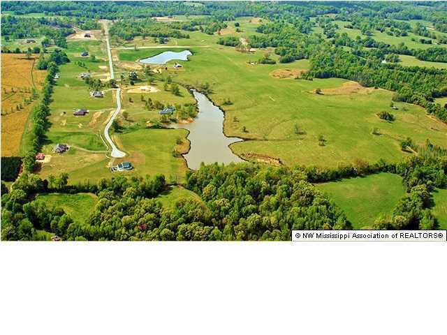 70 Spring Oak Cove Lamar, MS 38642 - Photo 3 of 3 Additional Photo