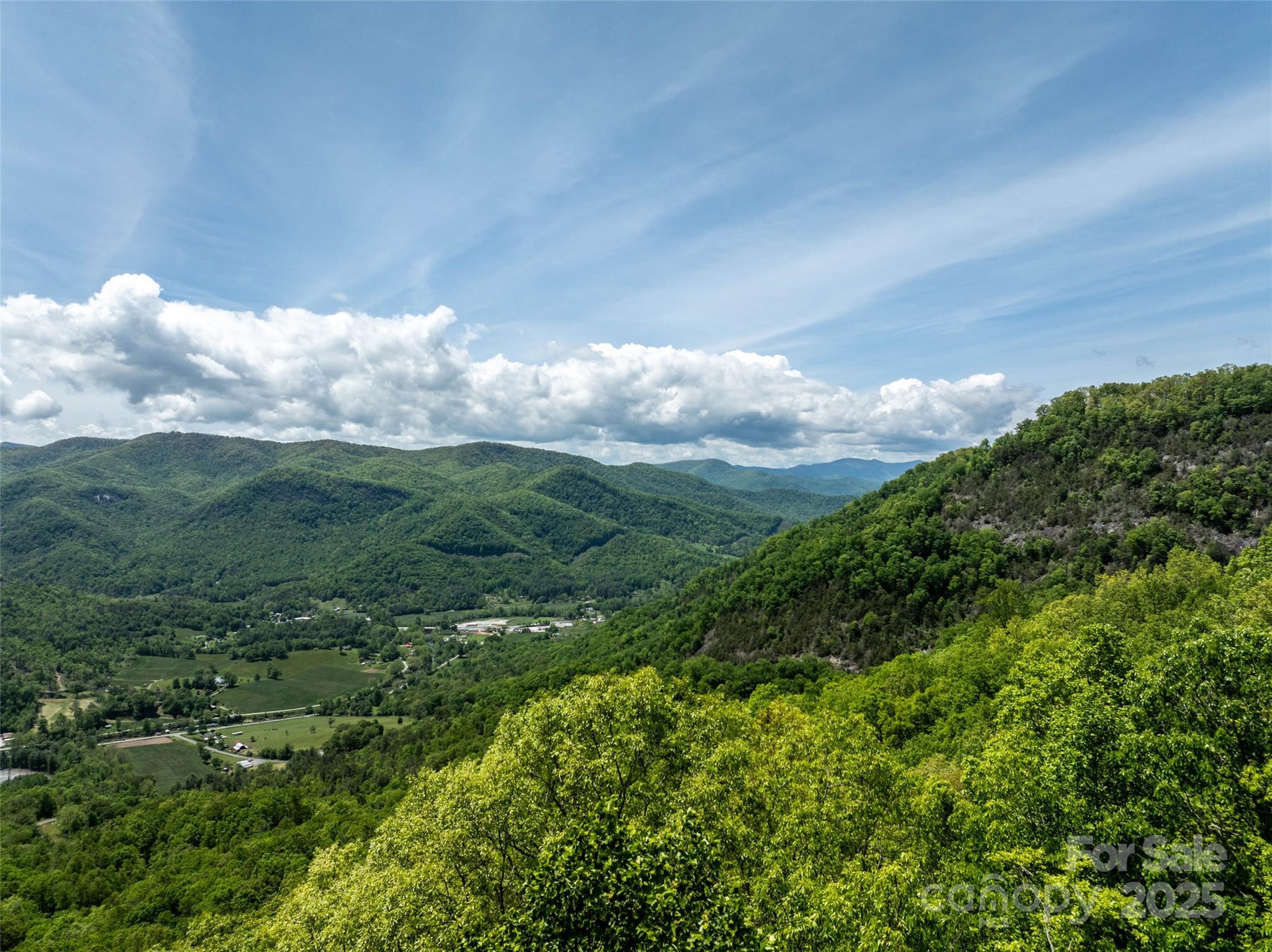 a view of a city with lush green forest