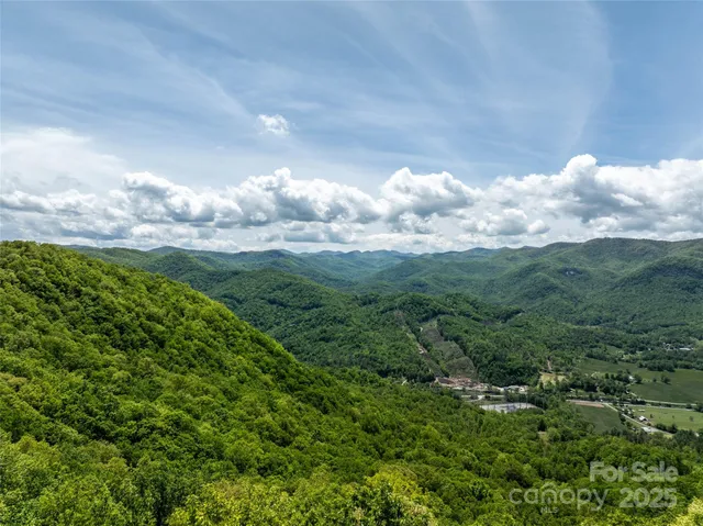 a view of a big yard with lots of green space