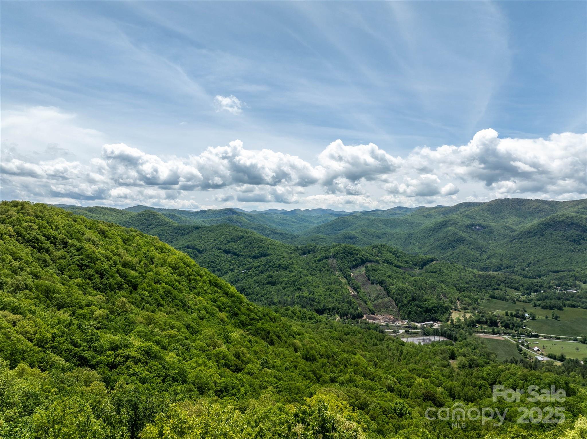 444 Woodring Cemetery Road Tuckasegee, NC 28783 - Photo 11 of 32 a view of a big yard with lots of green space