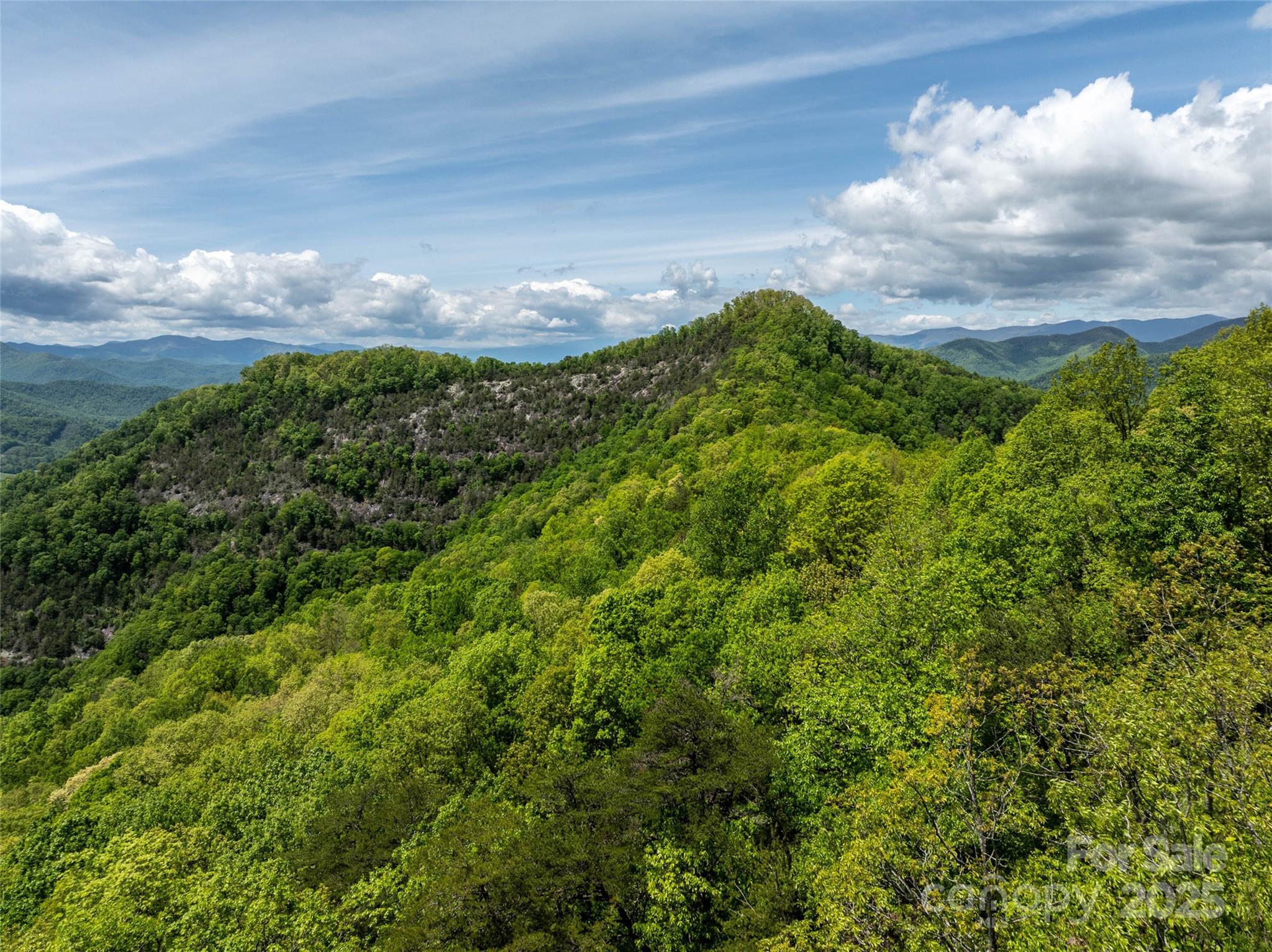 444 Woodring Cemetery Road Tuckasegee, NC 28783 - Photo 12 of 32 a view of a big yard