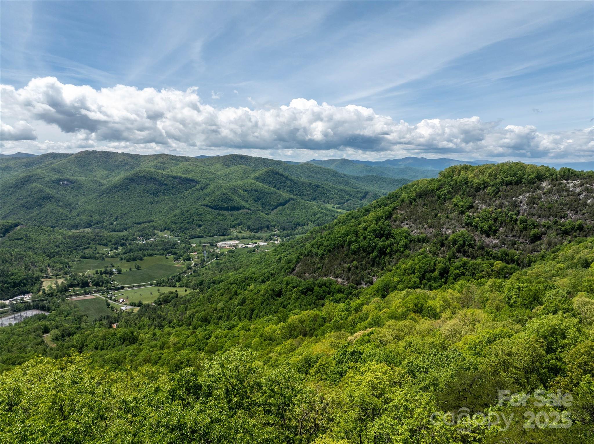 444 Woodring Cemetery Road Tuckasegee, NC 28783 - Photo 13 of 32 a view of a city with lush green forest