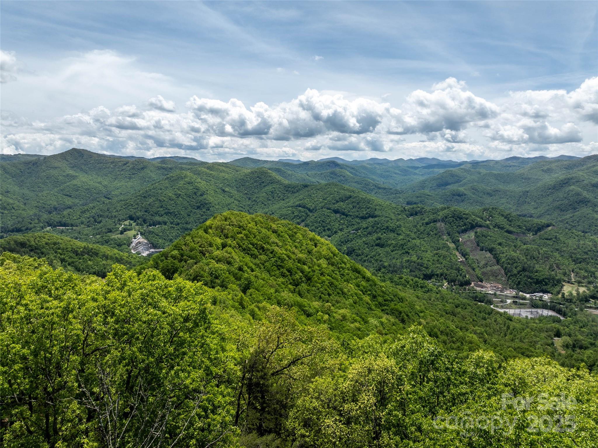 444 Woodring Cemetery Road Tuckasegee, NC 28783 - Photo 15 of 32 a view of a city with lush green forest