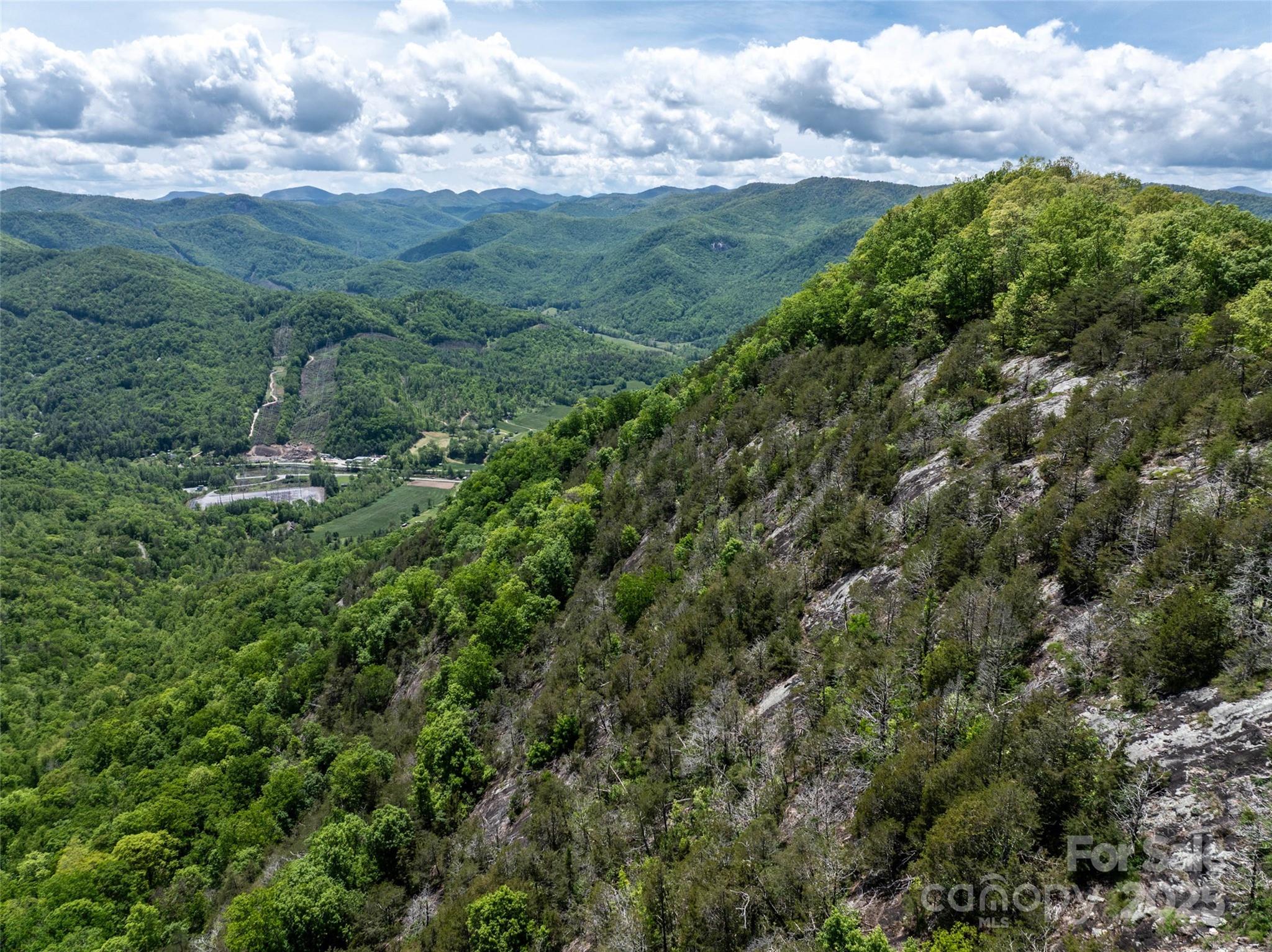 444 Woodring Cemetery Road Tuckasegee, NC 28783 - Photo 17 of 32 a view of a city and lush green forest
