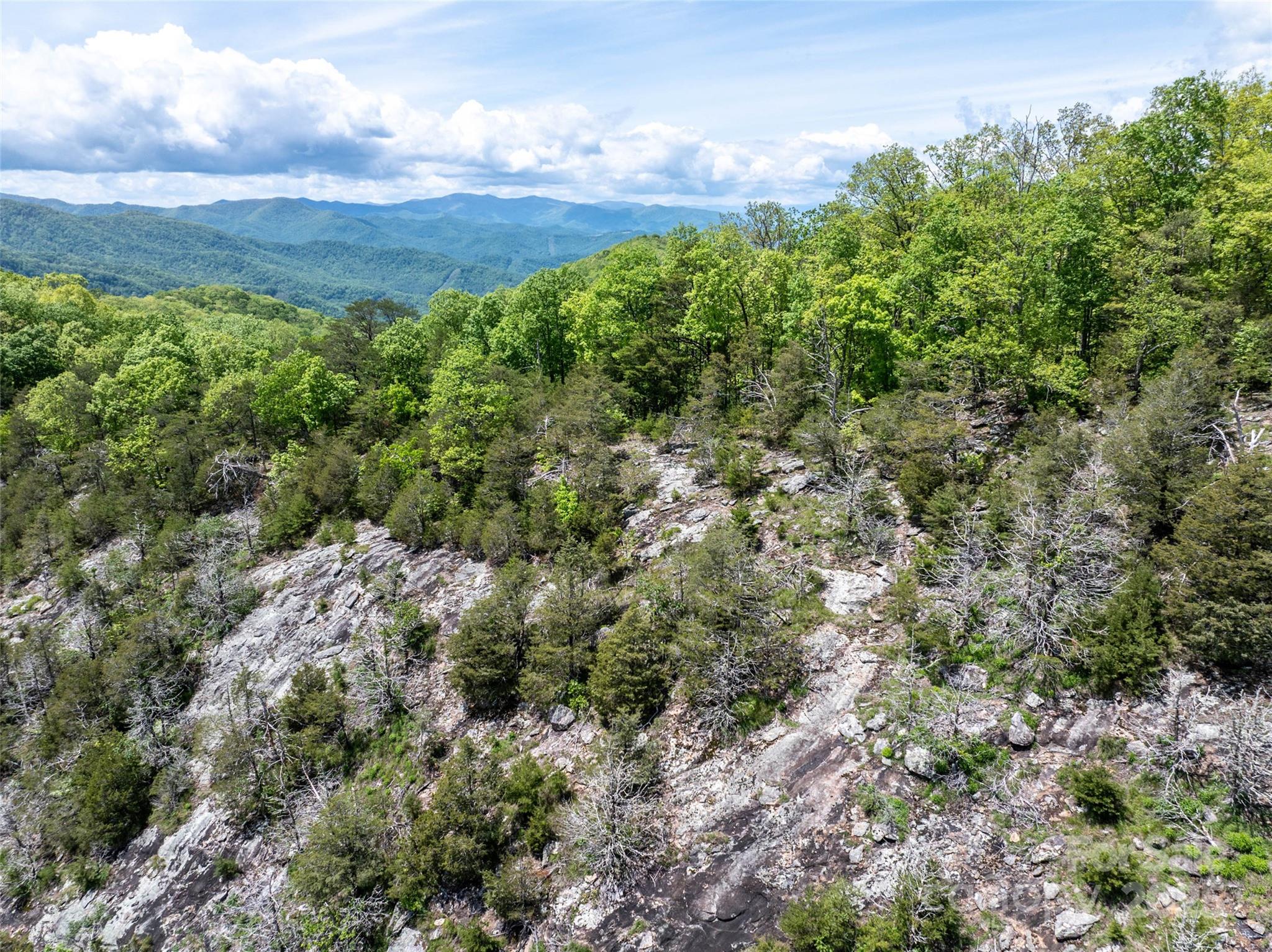 444 Woodring Cemetery Road Tuckasegee, NC 28783 - Photo 18 of 32 a view of a yard