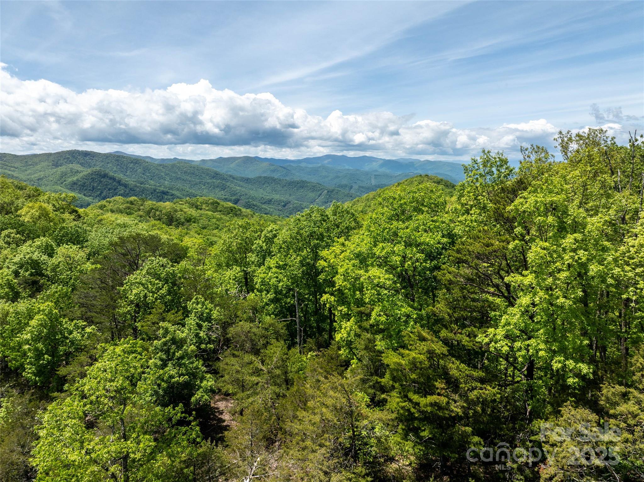 444 Woodring Cemetery Road Tuckasegee, NC 28783 - Photo 19 of 32 a view of a lake with a tree in a yard