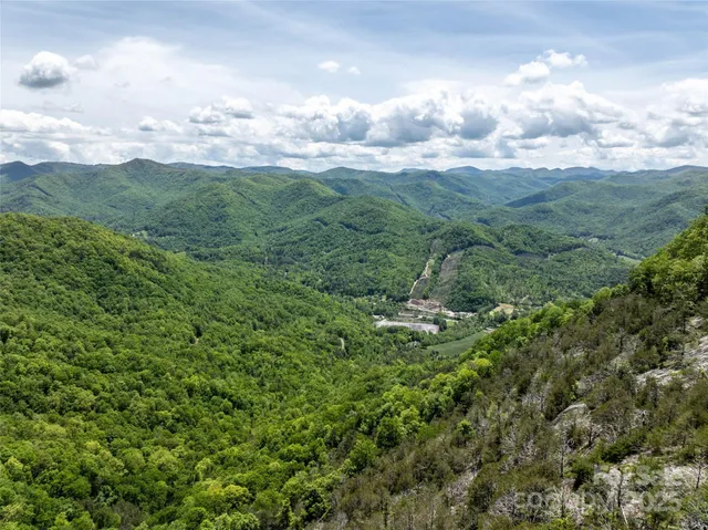 a view of a city and lush green forest