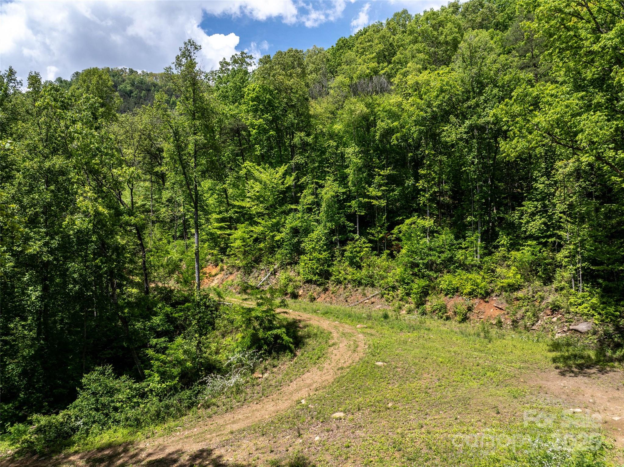 444 Woodring Cemetery Road Tuckasegee, NC 28783 - Photo 2 of 32 a view of a big yard with lots of green space and plants