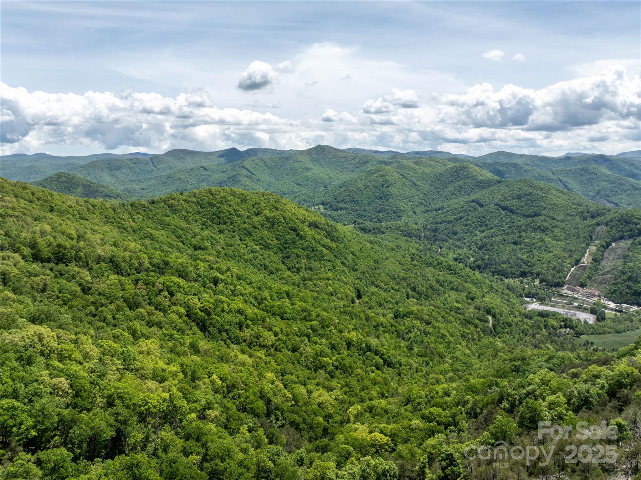 444 Woodring Cemetery Road Tuckasegee, NC 28783 - Photo 21 of 32 a view of a city