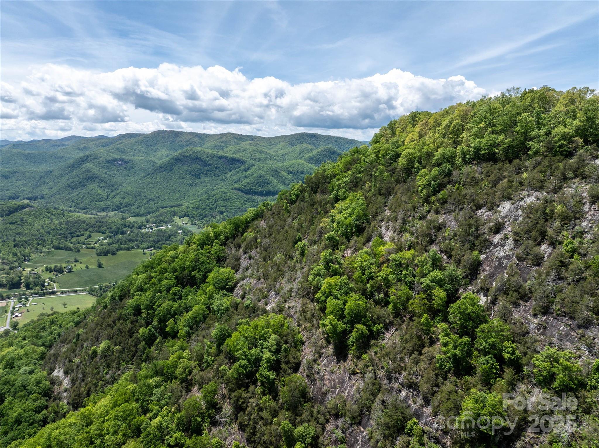 444 Woodring Cemetery Road Tuckasegee, NC 28783 - Photo 23 of 32 a view of a green field