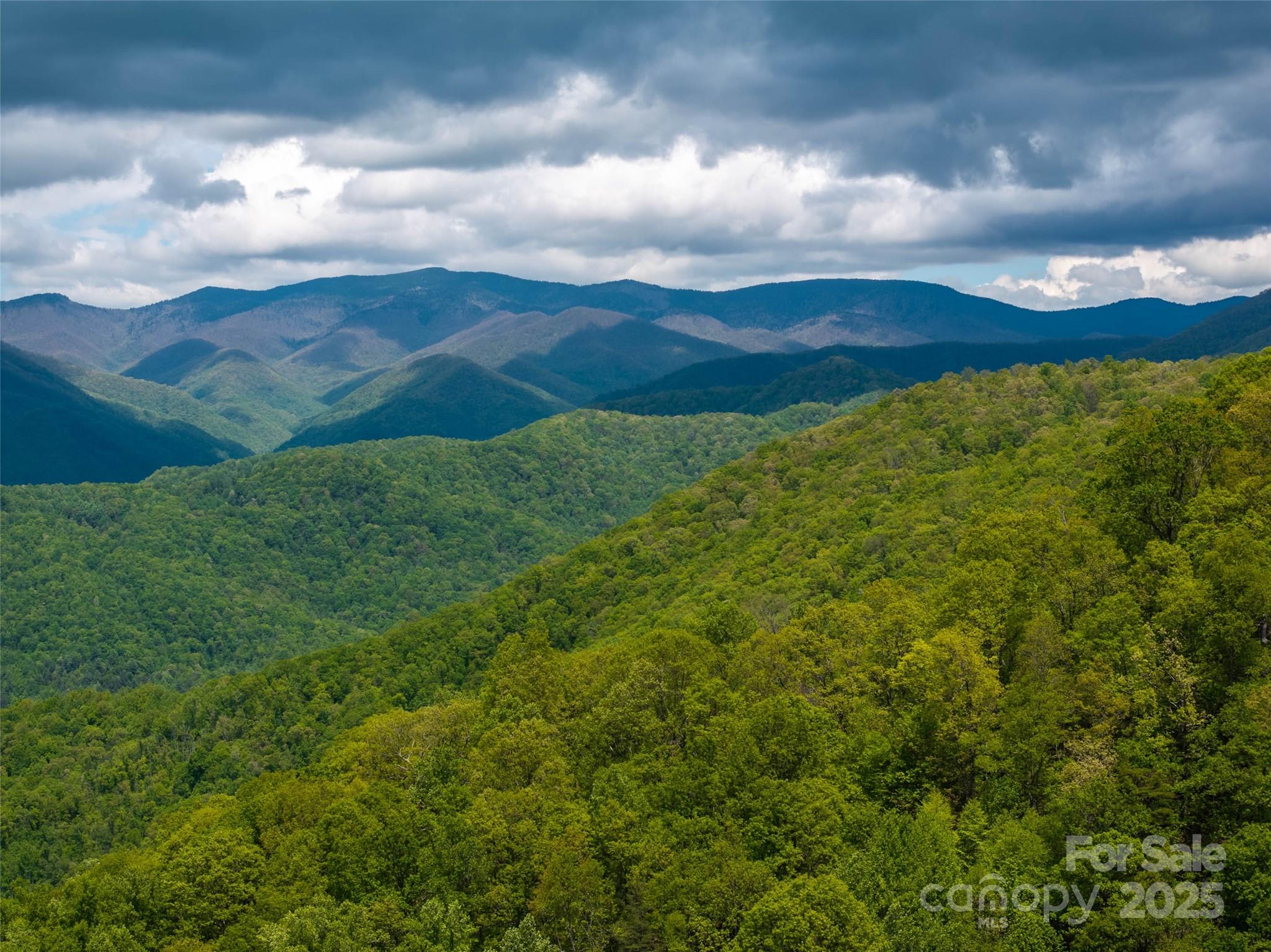 444 Woodring Cemetery Road Tuckasegee, NC 28783 - Photo 28 of 32 a view of a big yard