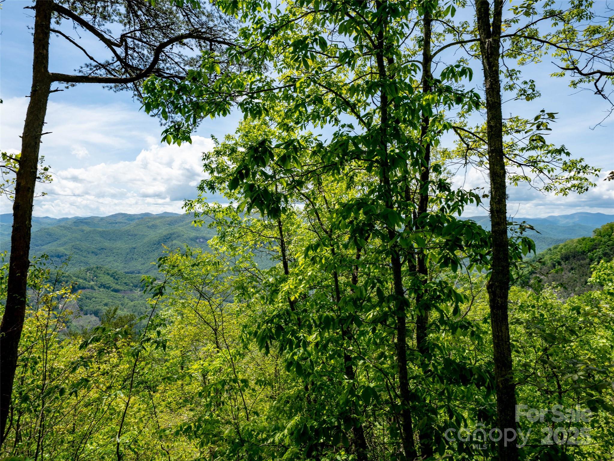 444 Woodring Cemetery Road Tuckasegee, NC 28783 - Photo 30 of 32 a view of a garden