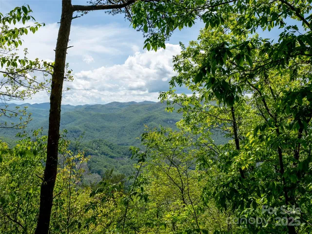a view of a garden with plants