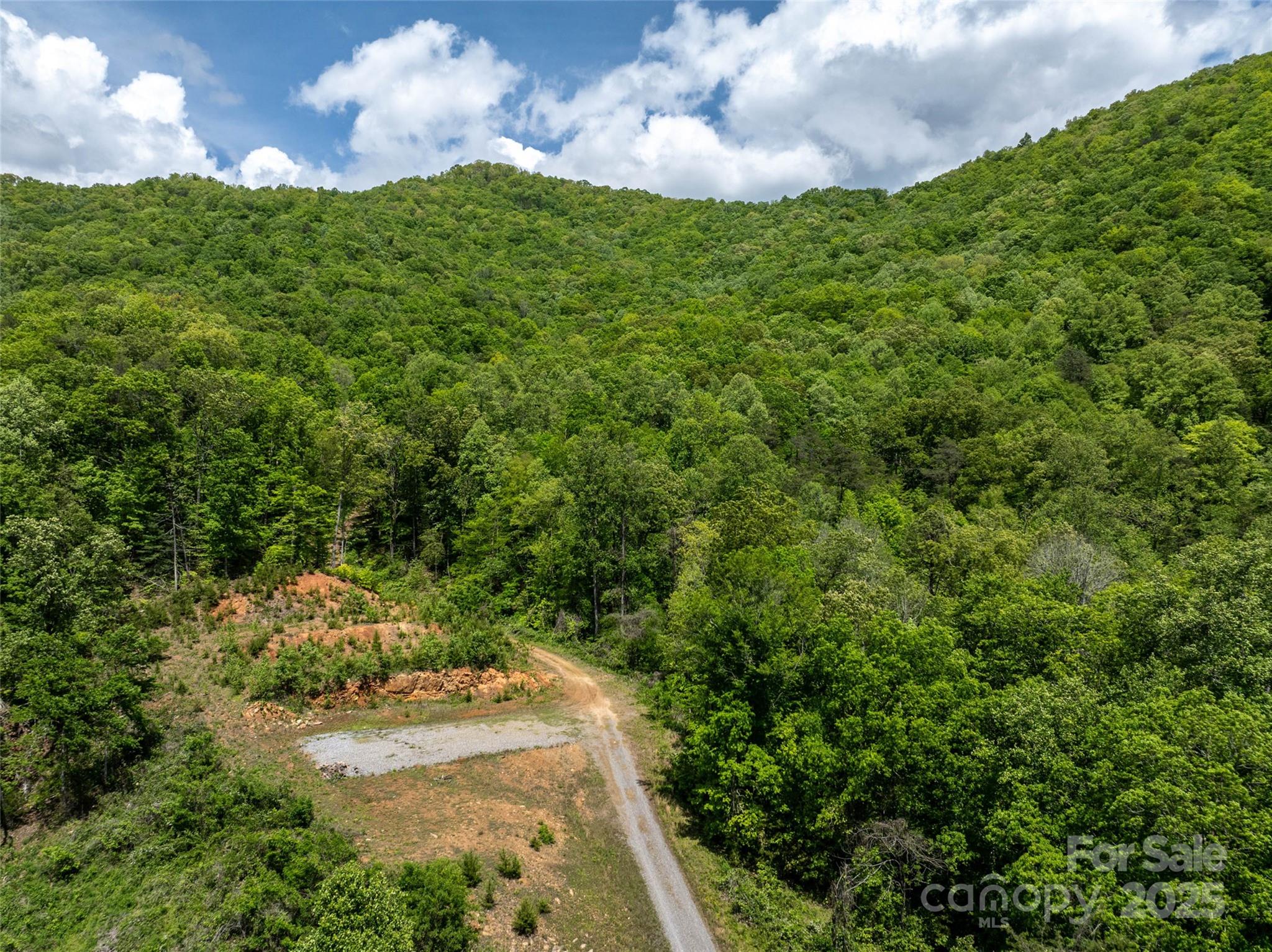 444 Woodring Cemetery Road Tuckasegee, NC 28783 - Photo 4 of 32 a view of a street with a building in the background
