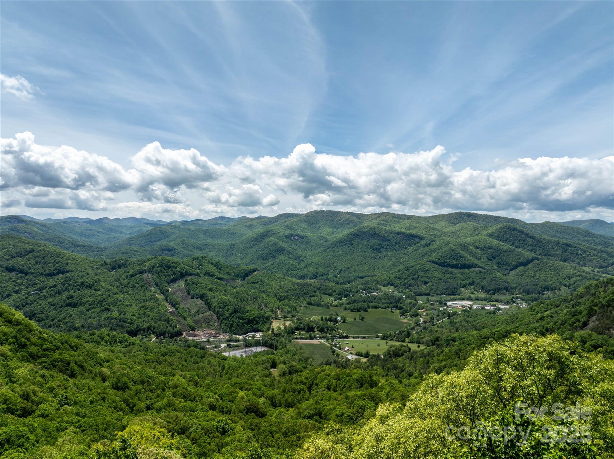 444 Woodring Cemetery Road Tuckasegee, NC 28783 - Photo 10 of 32 a view of a big yard with lots of green space