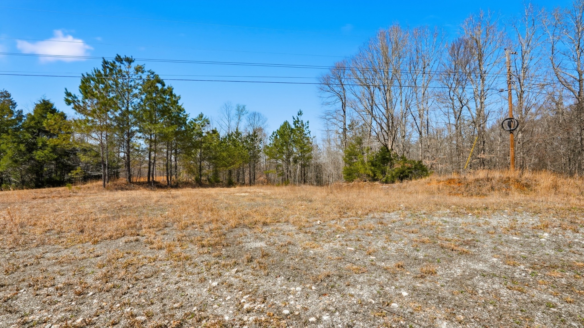 0 Fowler Road Beech Bluff, TN 38313 - Photo 12 of 21