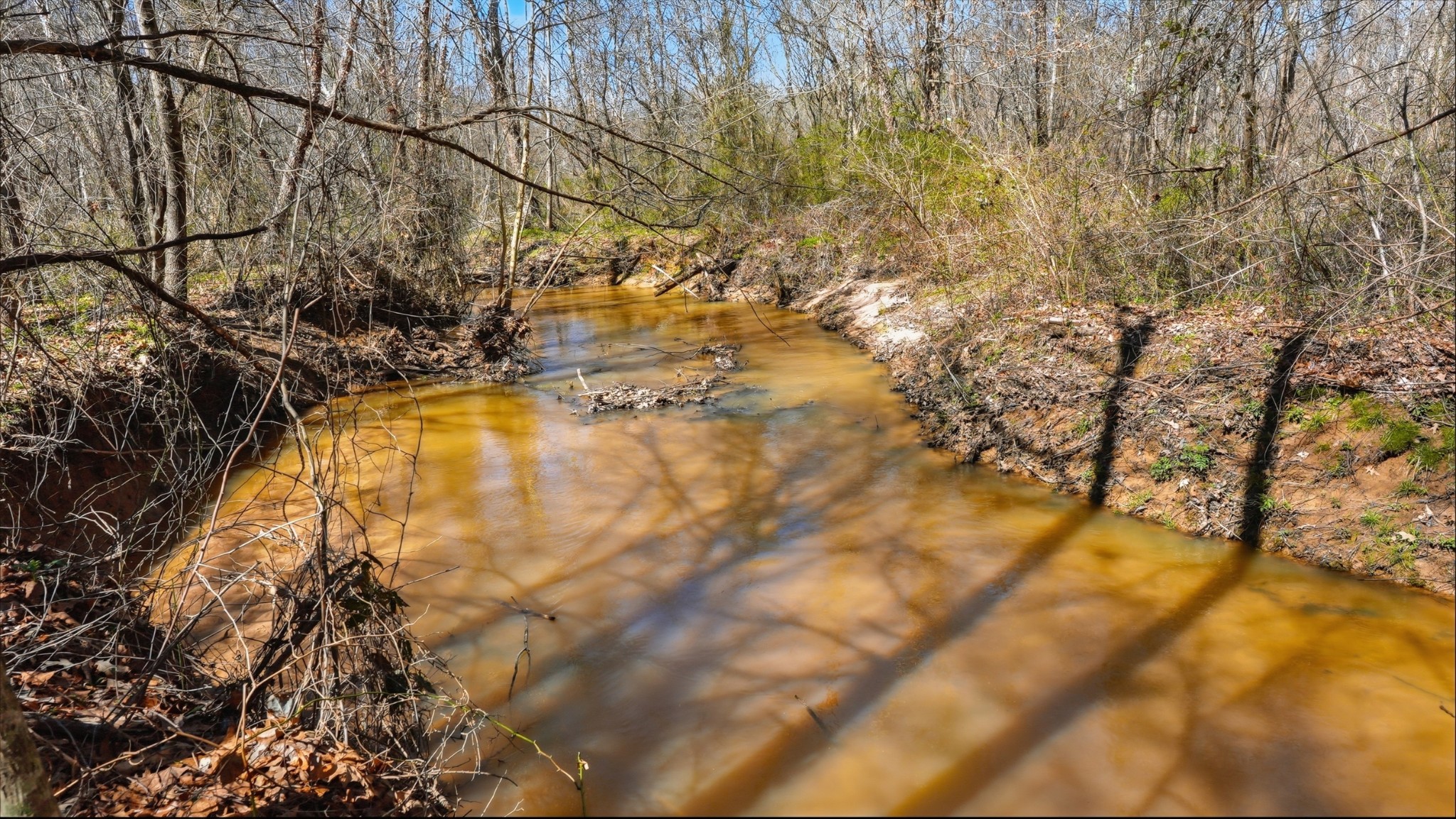 0 Fowler Road Beech Bluff, TN 38313 - Photo 15 of 21