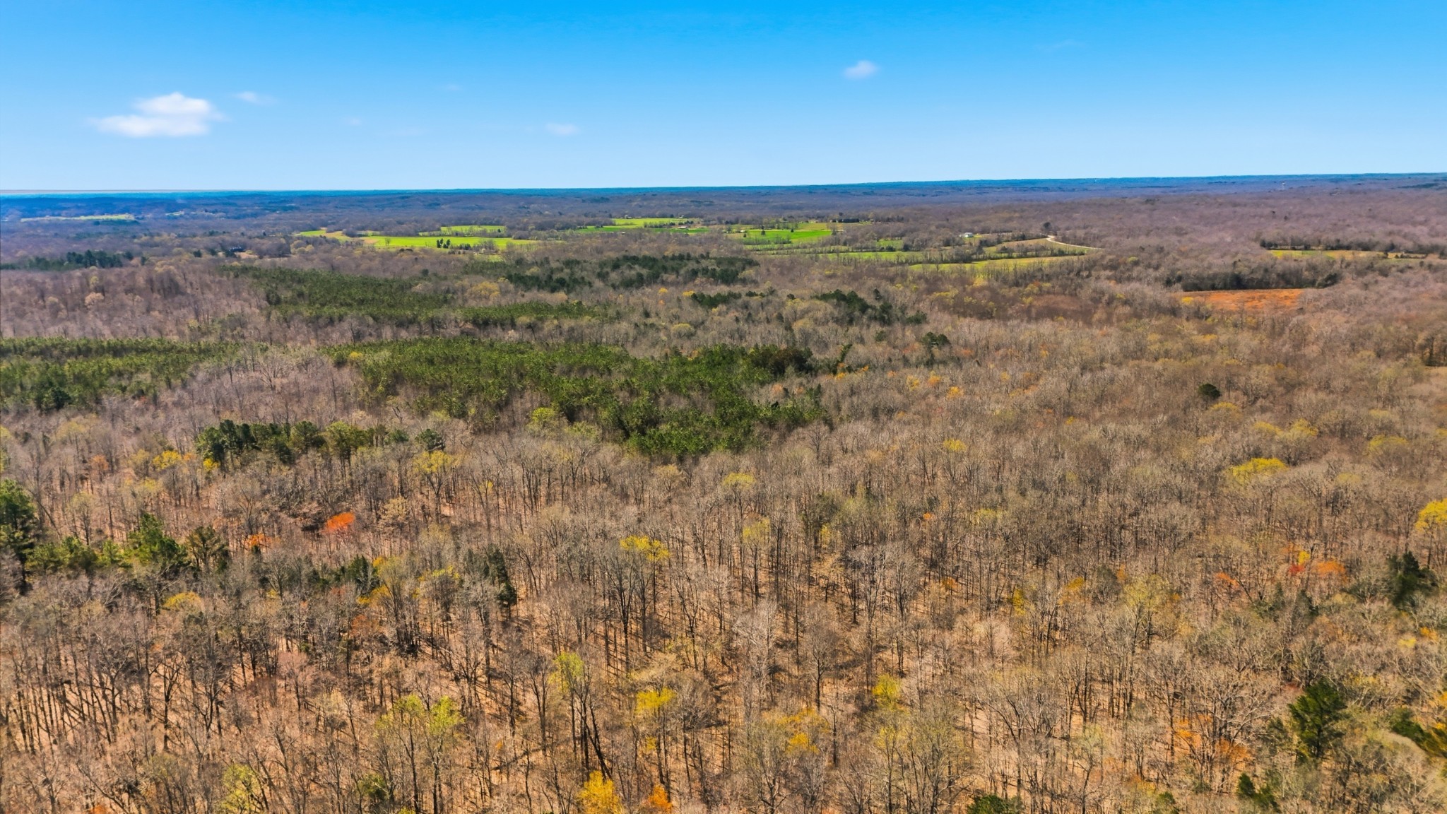 0 Fowler Road Beech Bluff, TN 38313 - Photo 4 of 21