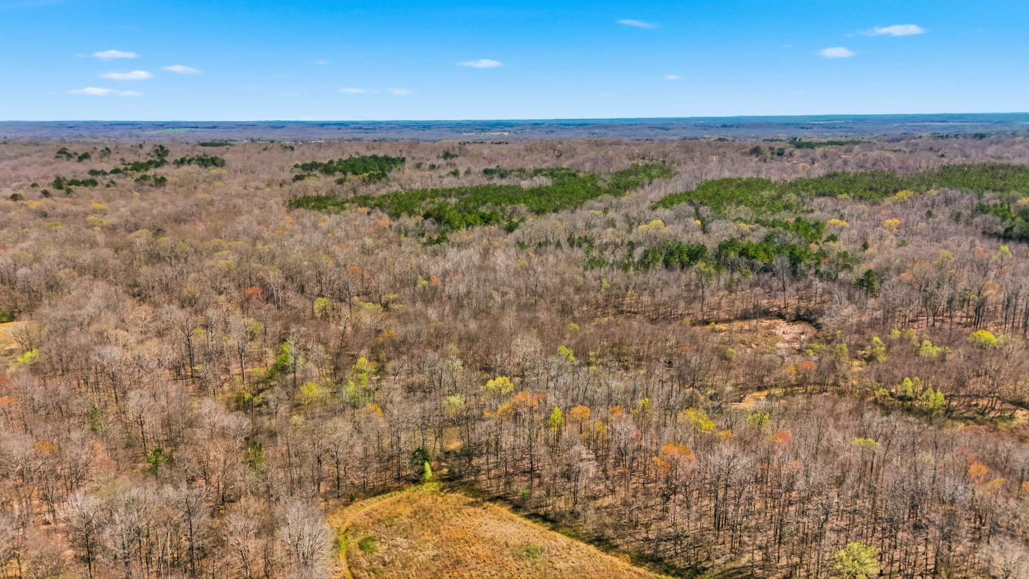 0 Fowler Road Beech Bluff, TN 38313 - Photo 5 of 21