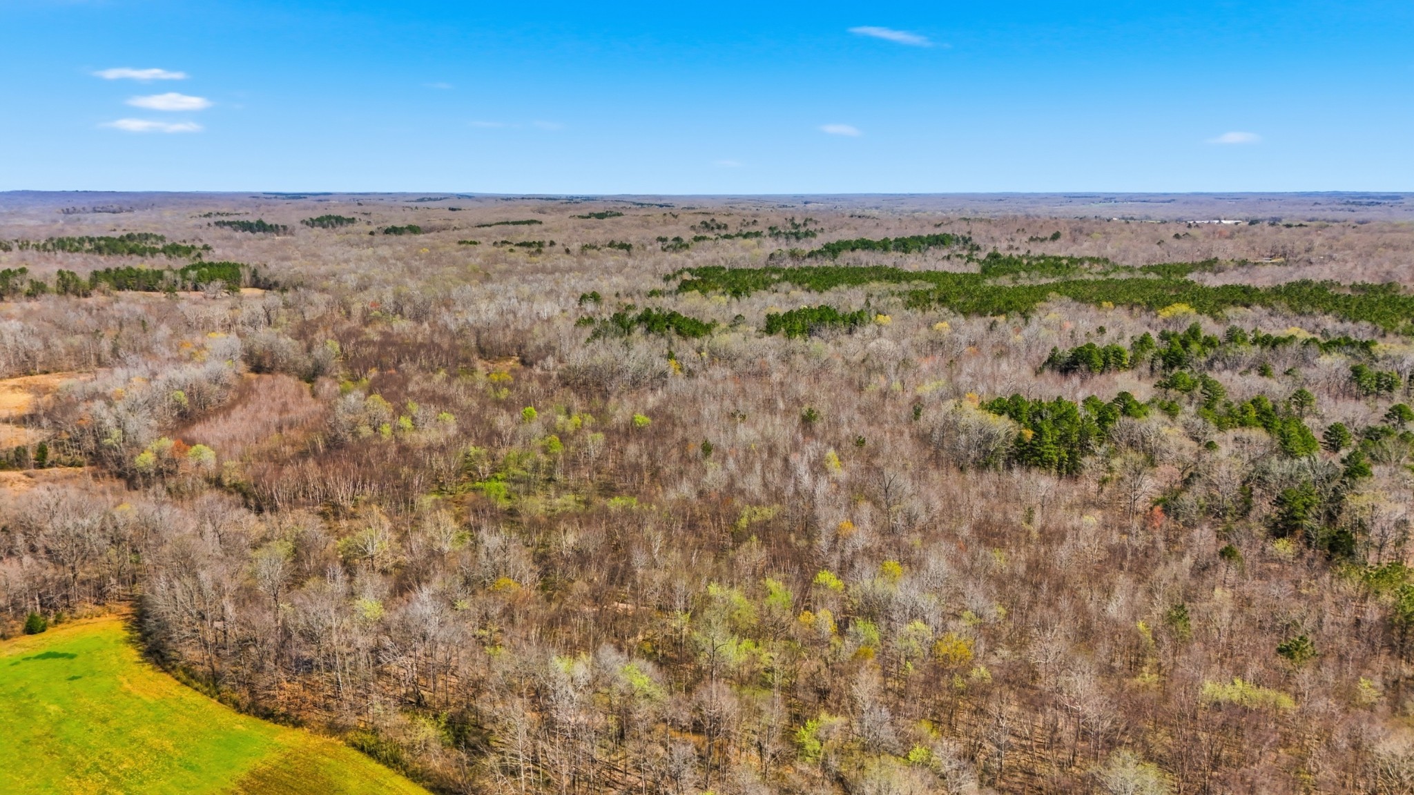 0 Fowler Road Beech Bluff, TN 38313 - Photo 6 of 21