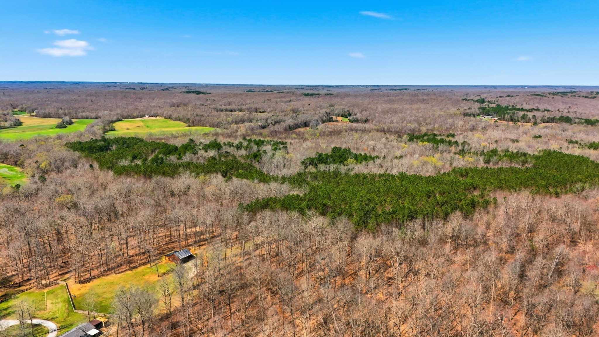 0 Fowler Road Beech Bluff, TN 38313 - Photo 8 of 21