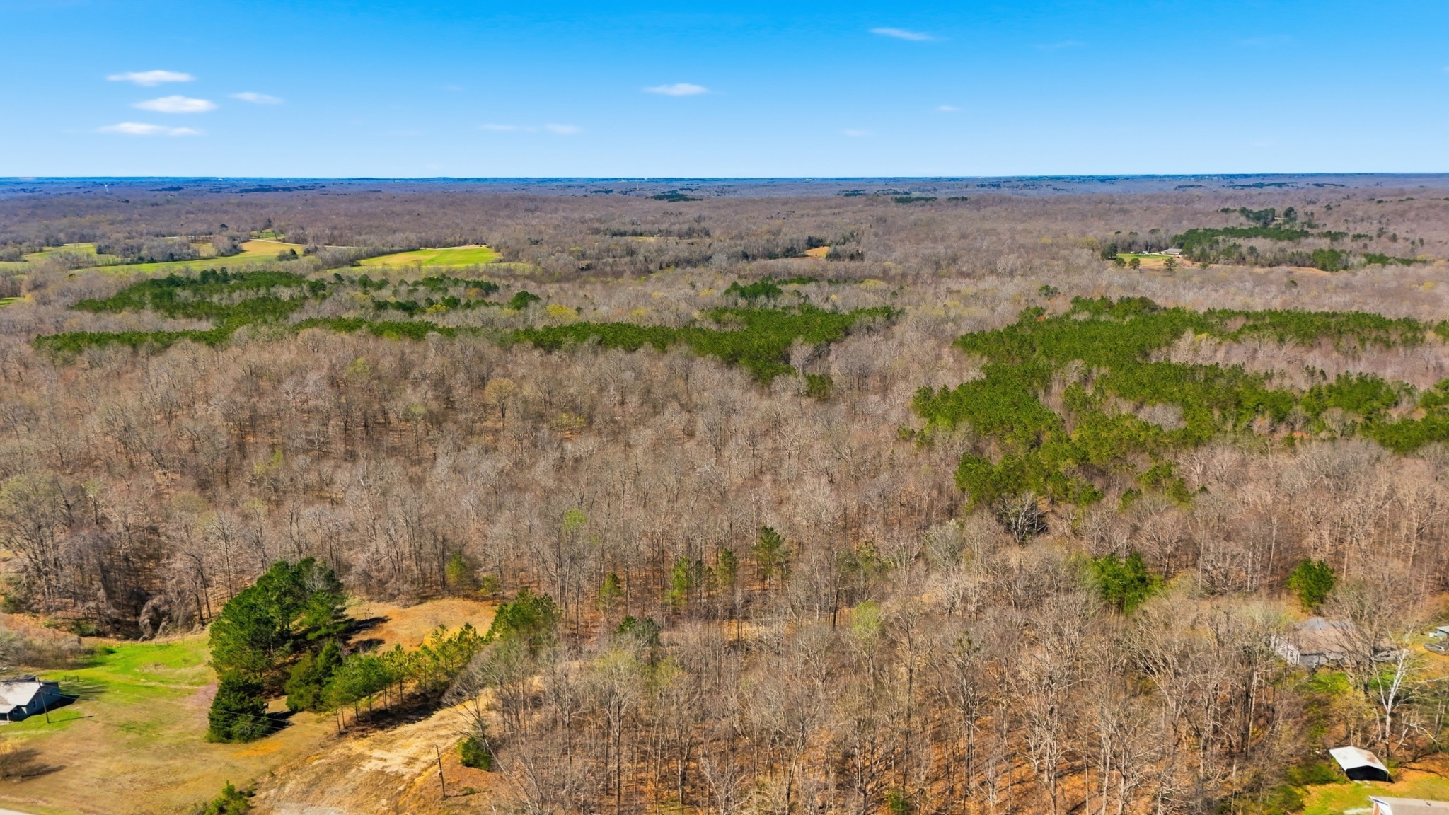 0 Fowler Road Beech Bluff, TN 38313 - Photo 9 of 21