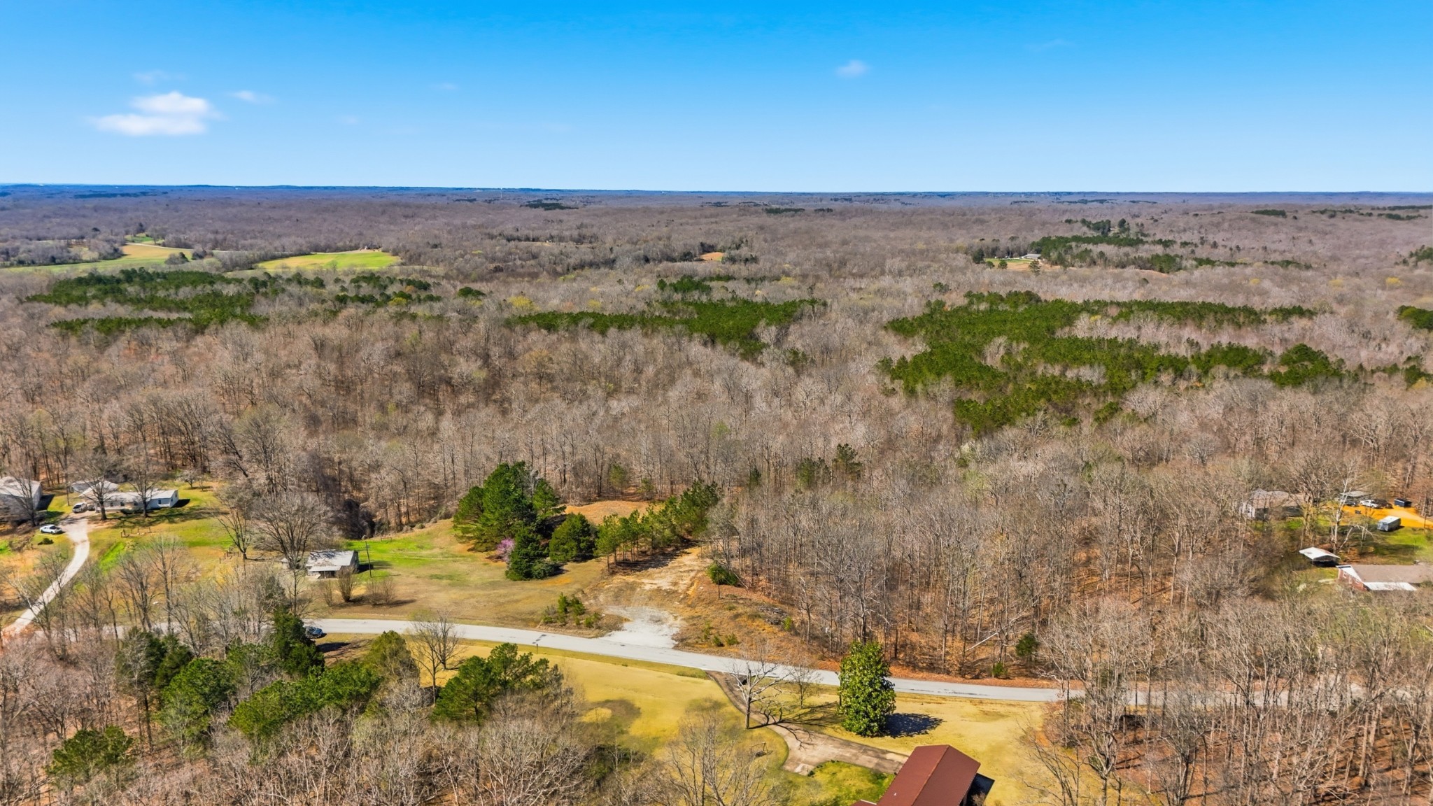 0 Fowler Road Beech Bluff, TN 38313 - Photo 10 of 21