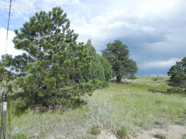1231 East Rim Road Franktown, CO 80116 - Photo 7 of 25 Gallery Image 7