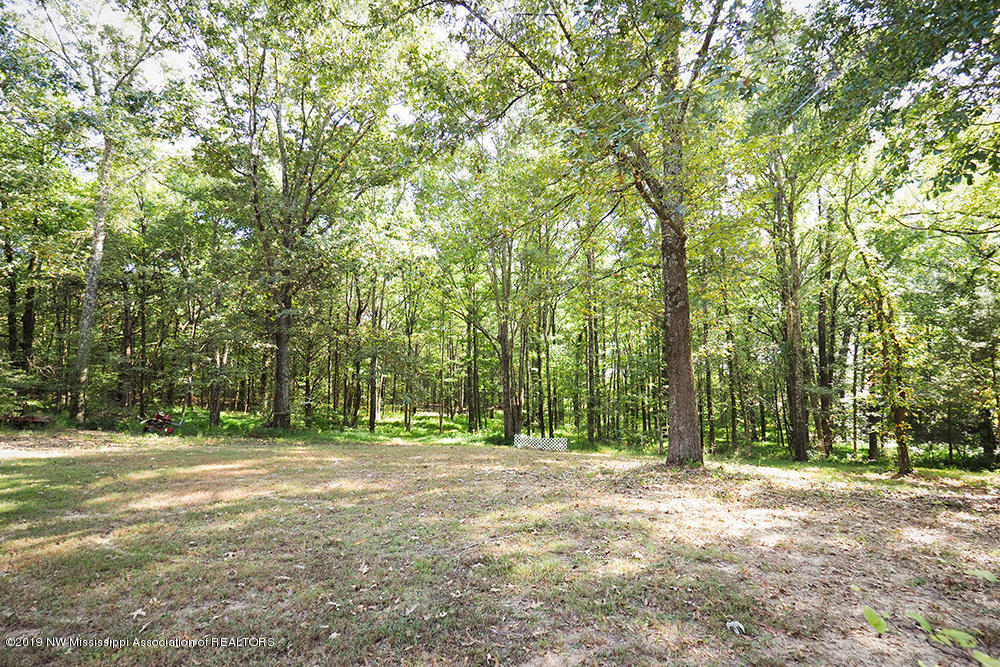 5865 West Oak Grove Road Hernando, MS 38632 - Photo 32 of 40 Driveway