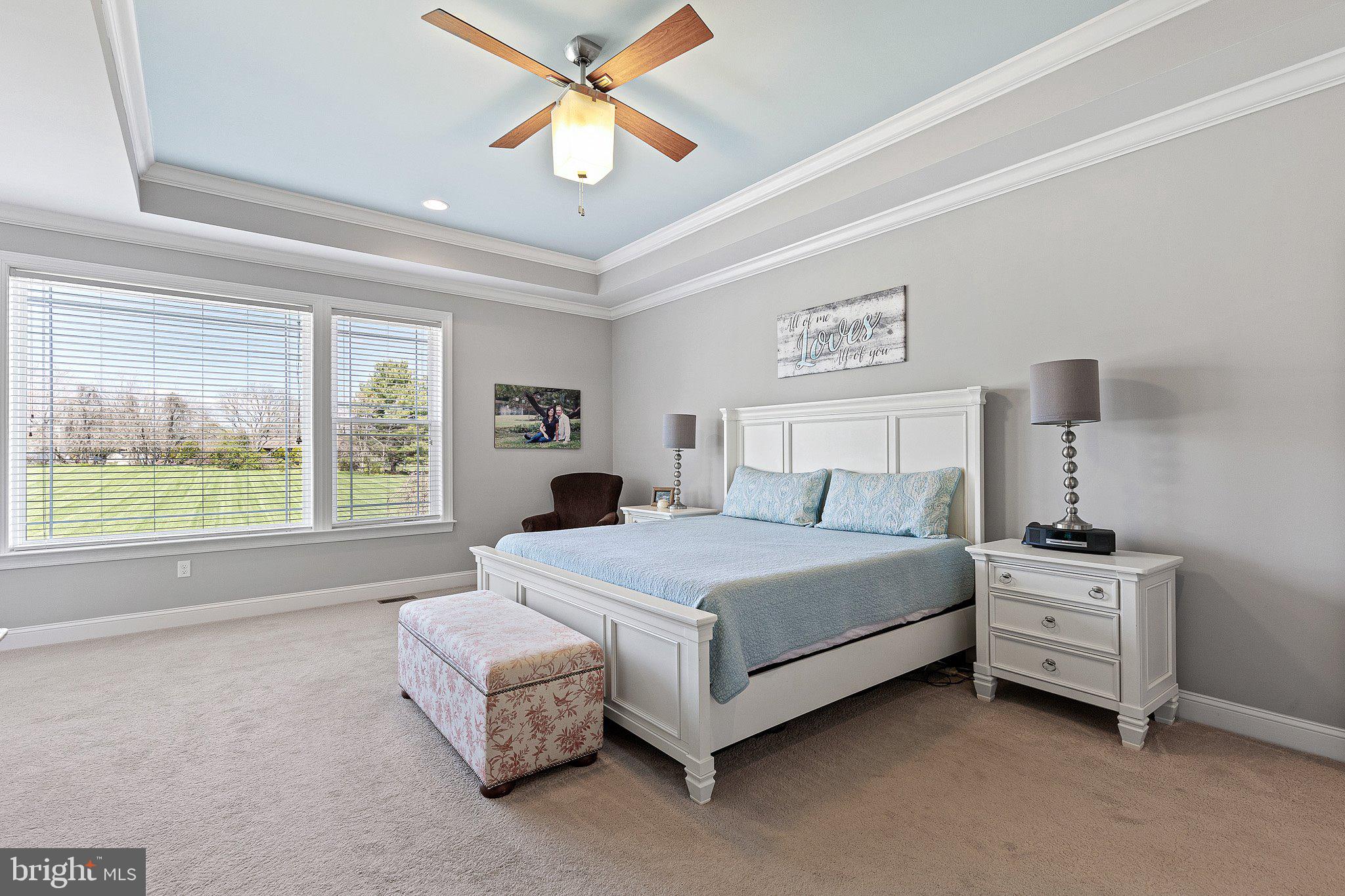 211 Sugar Pine Drive Middletown, DE 19709 - Photo 23 of 42 Huge Master Bedroom and tray ceiling